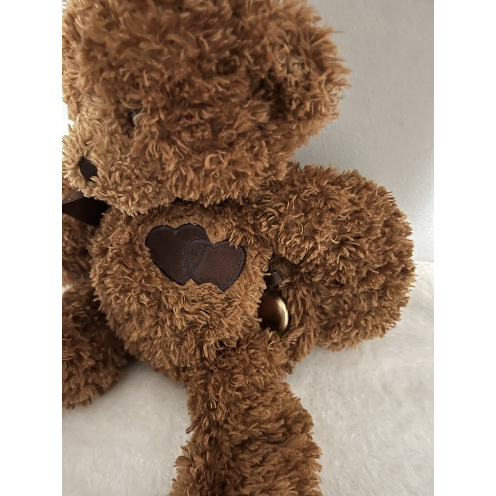 Gund Comfort Cub Brown Teddy Bear Hidden Heart lock Picture Memories Inside - Picture 9 of 9